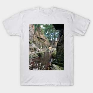 Jungle view T-Shirt